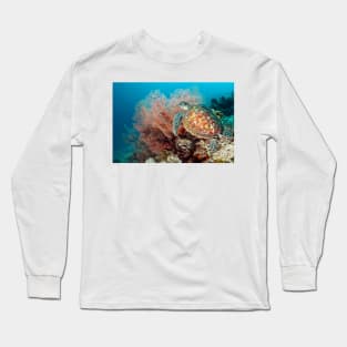 Green sea turtle and gorgonian (C021/6468) Long Sleeve T-Shirt